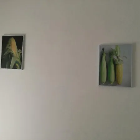 펜션 Tra Pani & Pannocchie